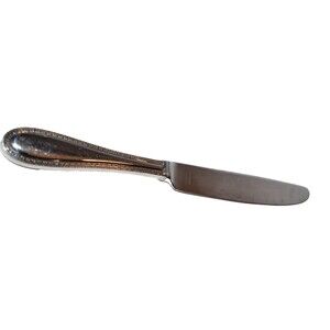 Vera Wang Wedgwood VERA LACE 10" Stainless Dinner Knife replacement